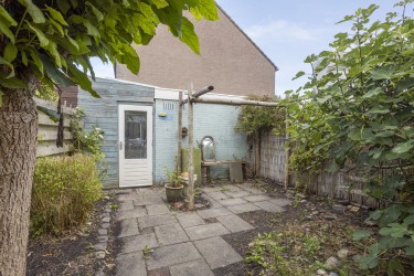 Tuin