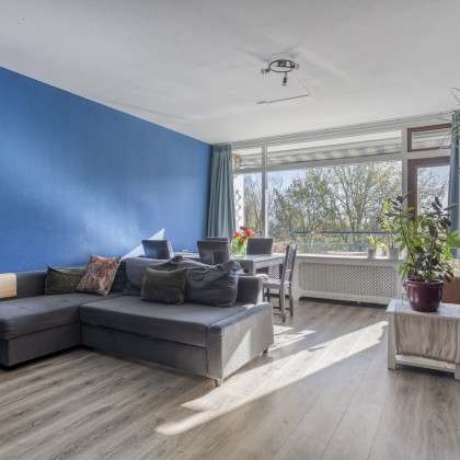 Lichte woonkamer