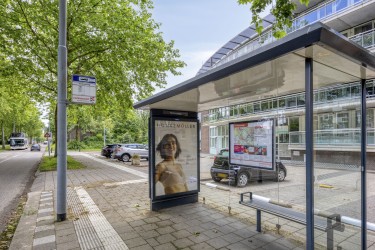 Omgeving