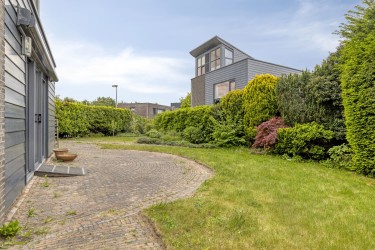 Tuin