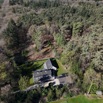 Aan de rand van het bos