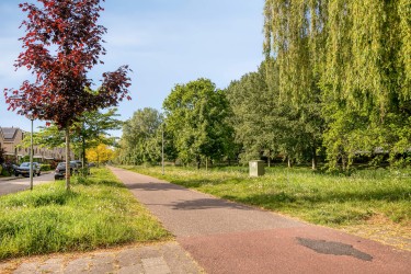 Extra foto's