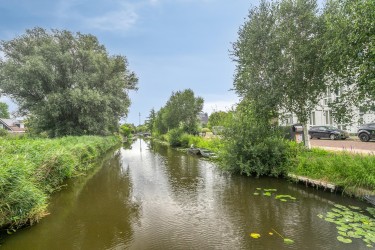 Omgeving