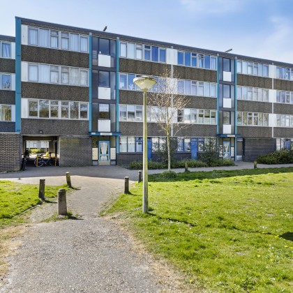 Groene omgeving