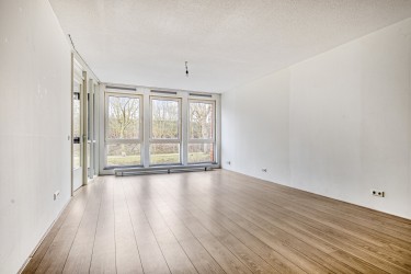 Veel licht