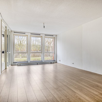 Veel licht
