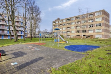 Omgeving
