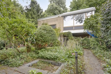 Tuin