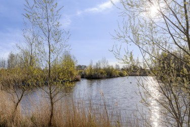 Extra foto's