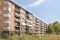 91335425_80241970_4019861560336Tamarixplantsoen2351702jdHeerhugowaard-30.jpg