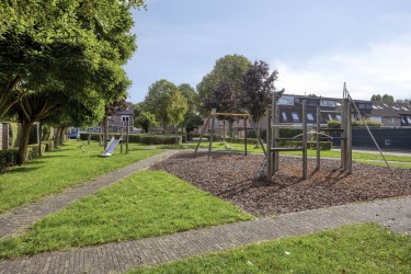 Omgeving