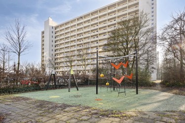 Omgeving