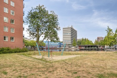 Omgeving