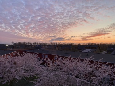 Wonen naast de natuur