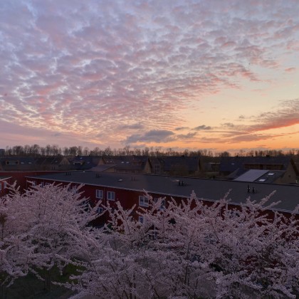 Wonen naast de natuur