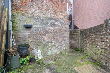 Tuin