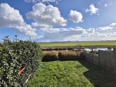 Tuin