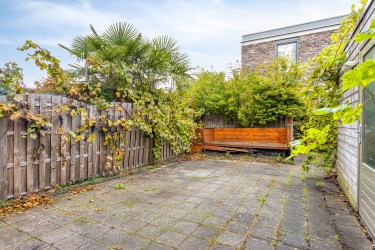 Tuin