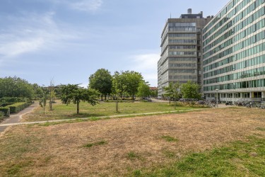 Omgeving