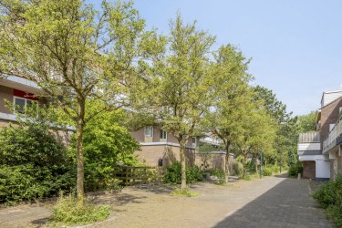 veel groen