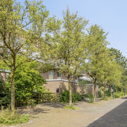 veel groen