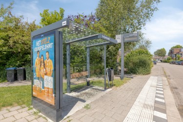 Omgeving