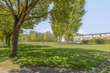 Extra foto's