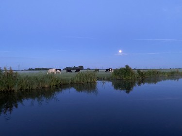 Extra foto's