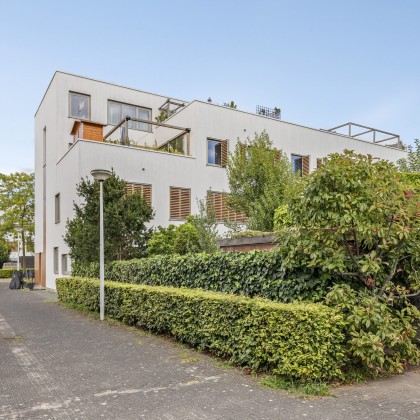 Welkom