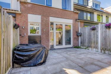 Zonnige tuin