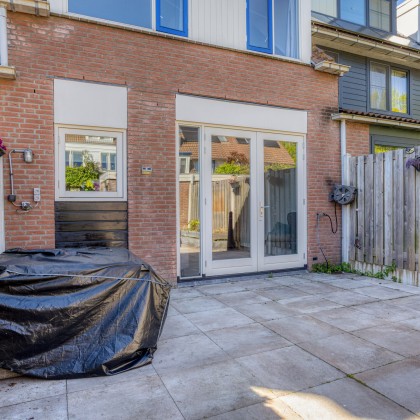 Zonnige tuin
