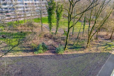 Extra foto's