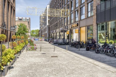 Omgeving