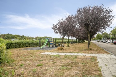 Omgeving