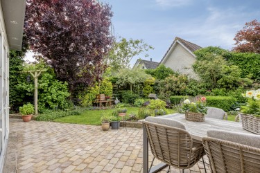 Tuin