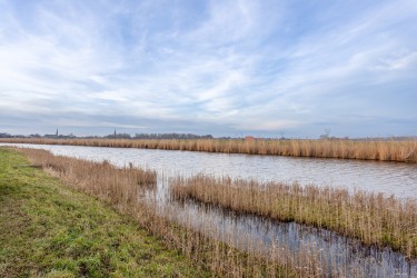 Extra foto's