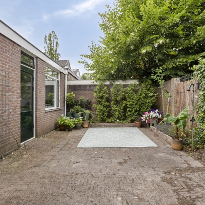Zonnige tuin