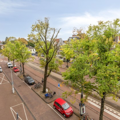 Veel groen