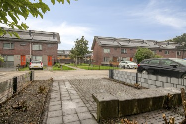 Tuin
