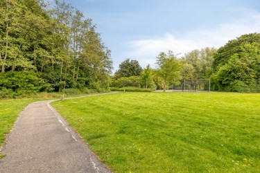 Omgeving