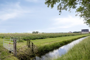 Extra foto's