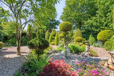 Tuin