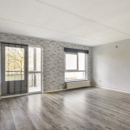 Veel daglicht