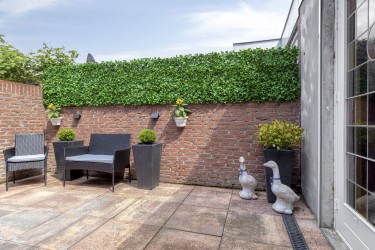 Tuin