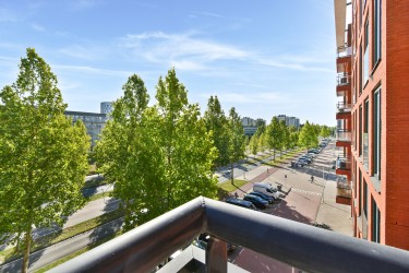 Omgeving
