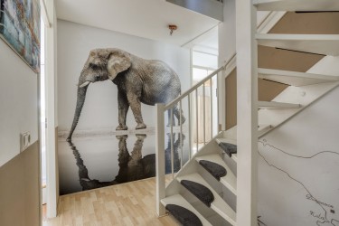 Extra foto's