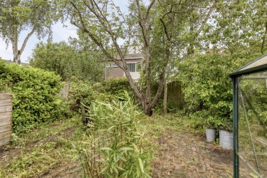 Extra foto's