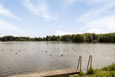 Omgeving