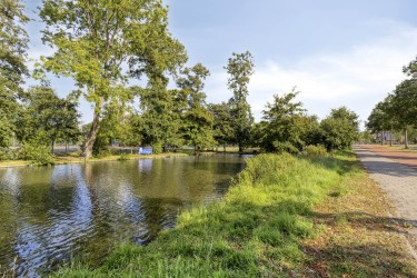 Omgeving