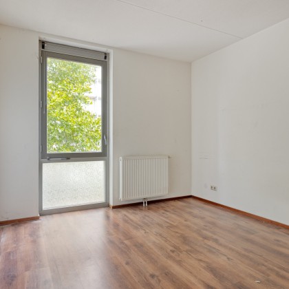 Veel mogelijkheden